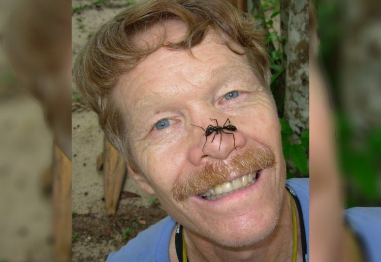 The Schmidt Sting Pain Index Tells You How Painful Insect Stings Are