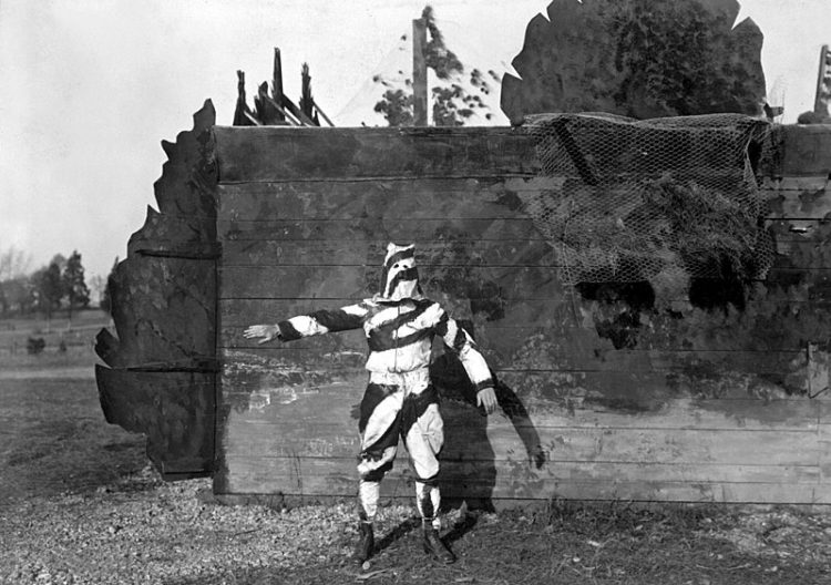 The Art of Camouflage: From Nature To Hot Zone