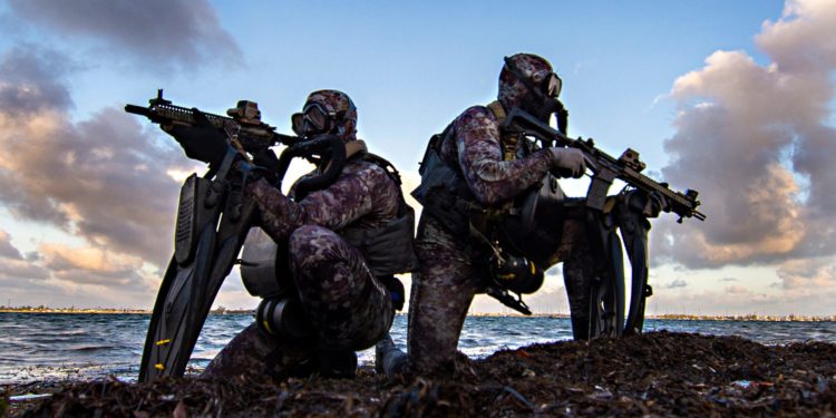 U.S. Navy SEALs: Secret History