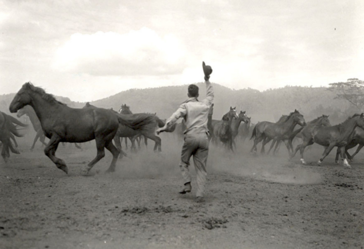 Odd Military Jobs of WWII That Will Surprise You