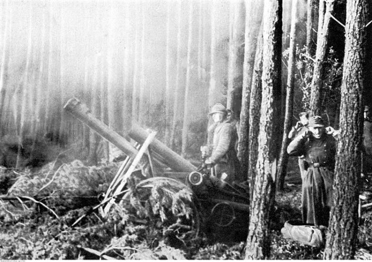 The Battle of Hurtgen Forest, The Bloody Cost of Terrain and Obstinance