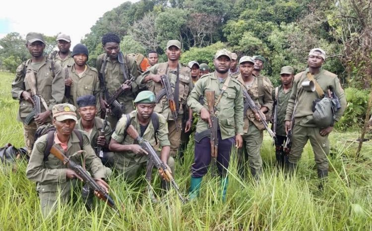 Heath Hansen: With The Rangers Fighting Poachers in the Jungles of the Congo
