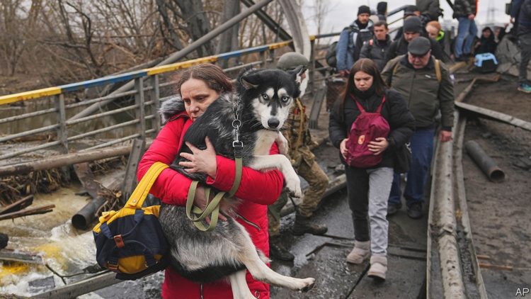 Dogs of War: Canines Caught in the Carnage of the Ukraine Conflict