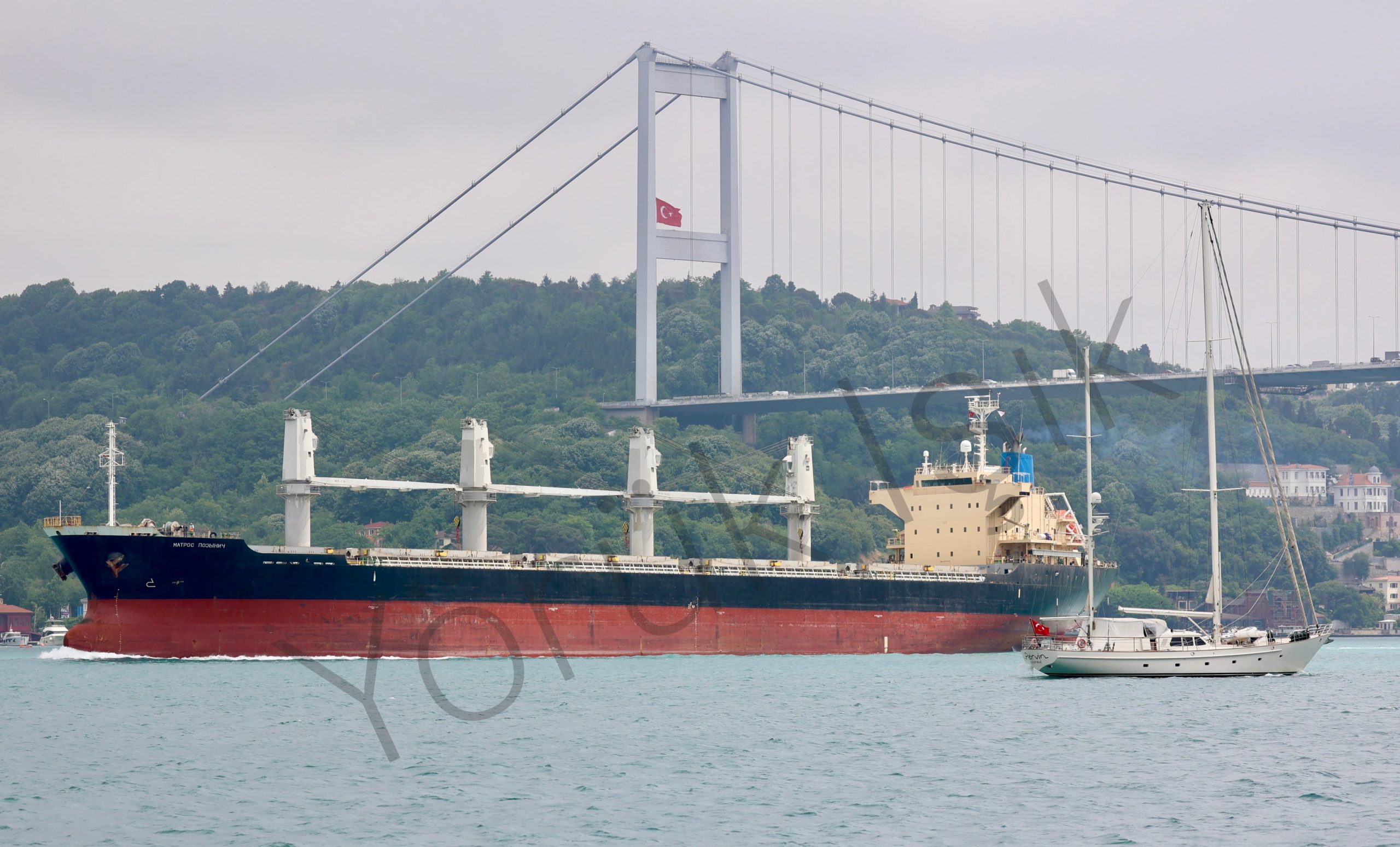 Stolen Ukrainian wheat onboard the Russian vessel Matros Pozynich (Yörük Işık). Source: https://twitter.com/YorukIsik/status/1533116715294400513