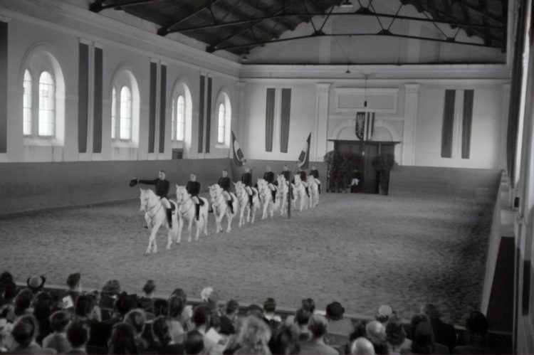 Rescuing Germany’s “War Horse with a Twist”