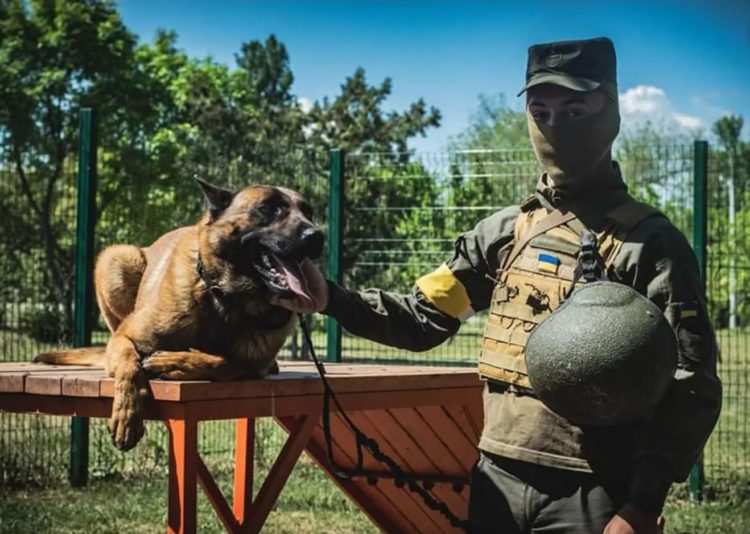 Dog-Gone: Russian Special Forces Dog Defects to Ukraine