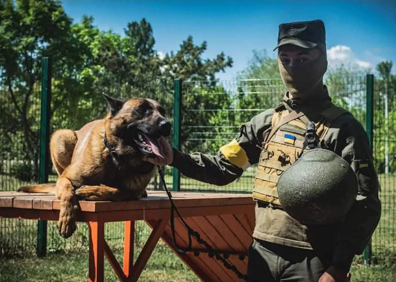 Dog-Gone: Russian Special Forces Dog Defects to Ukraine