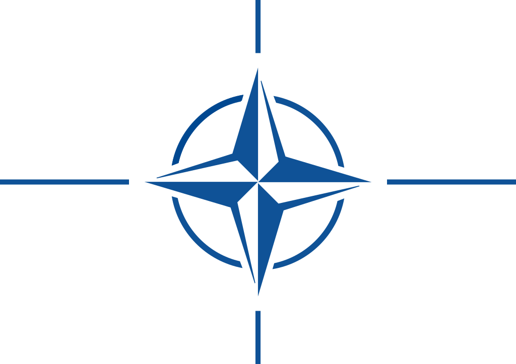 NATO OTAN Insignia