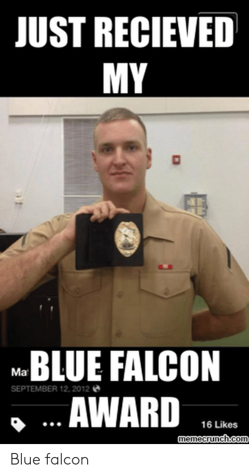 blue-falcon-award