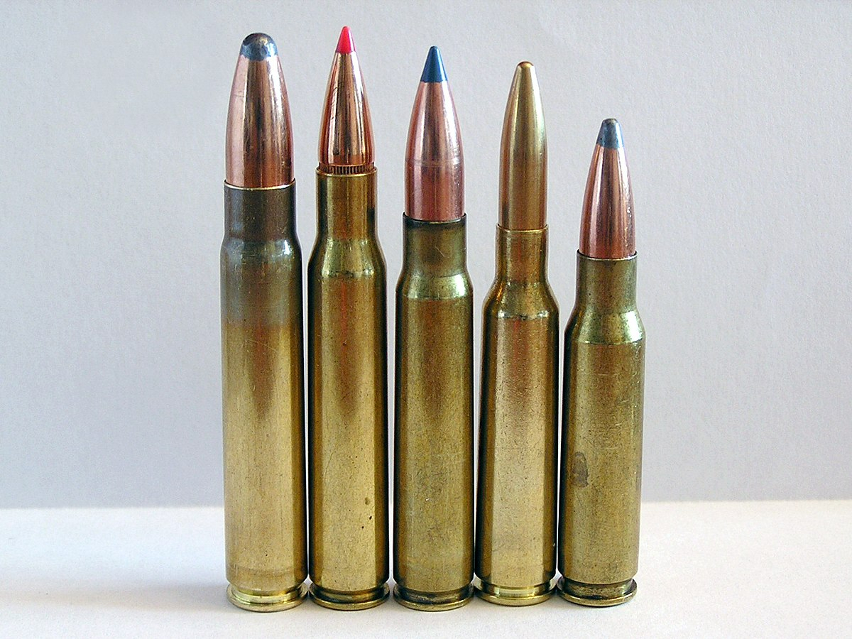 comparing 30 caliber bullets