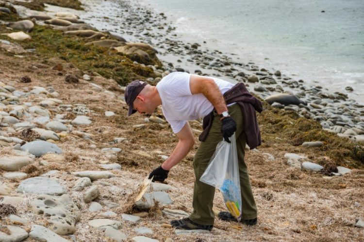 US Navy Cleanup on Remote Beach: Debris and Microplastics Kill Marine Life