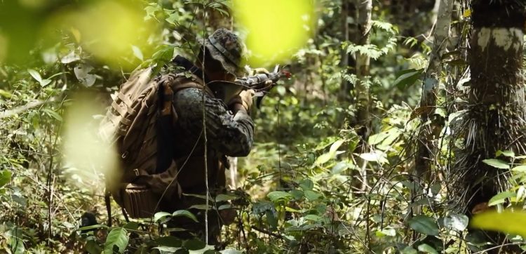 Watch: Marines’ Jungle Training in Brazil