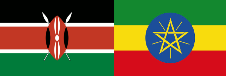 The Ongoing Struggle for Kenya and Ethiopia, Is There a Solution?