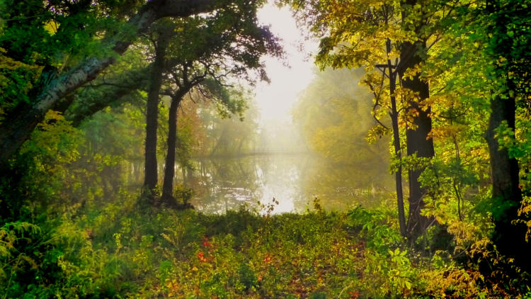 ‘Cold Fear’ Excerpt Preview: ‘The Lady in the Ice Pond’