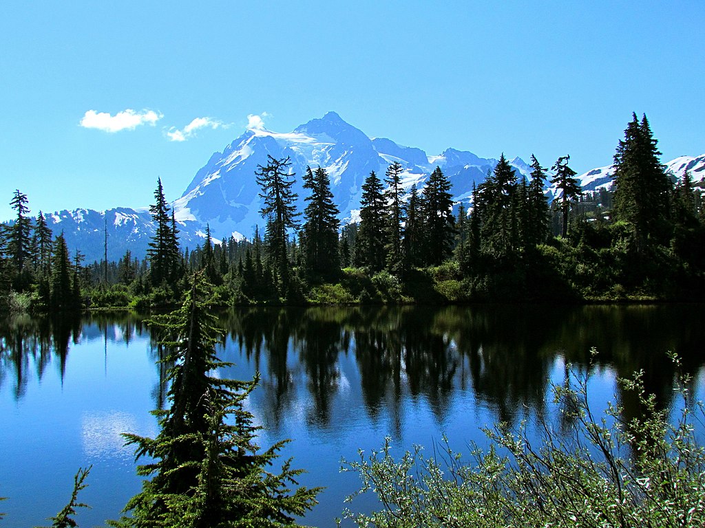 Mount Baker National Forest