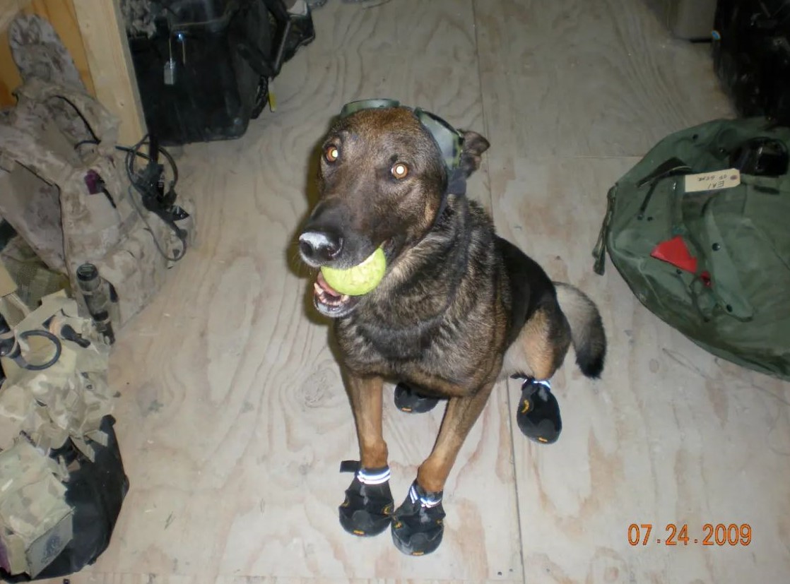 Cairo - Will Chesney