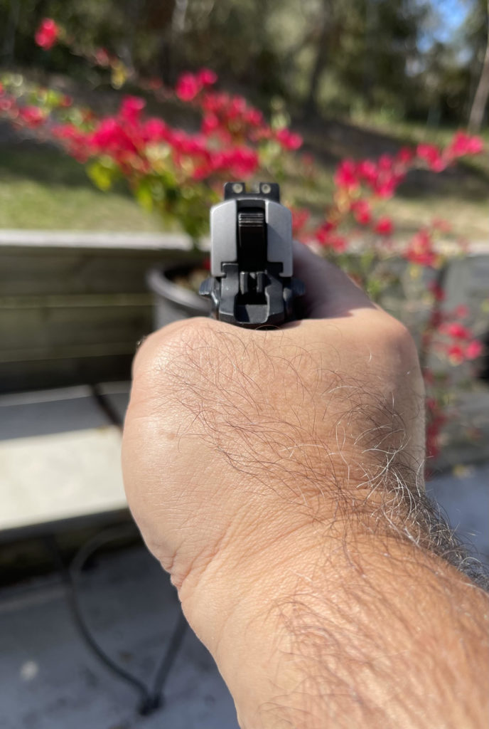 photo of Sig in hand