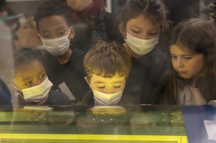 Yokota Youth Get Firsthand Look at Air Mobility Mission