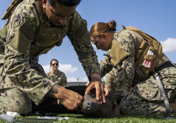Military Working Dog Handlers Practice Tactical Combat Casualty Care To Save Partners’ Lives