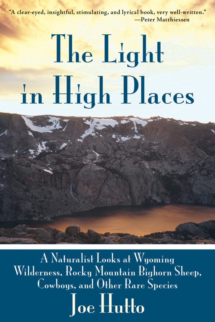 Light In High Places