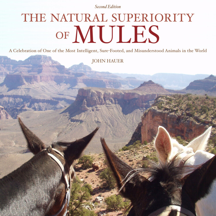 Natural Superiority of Mules