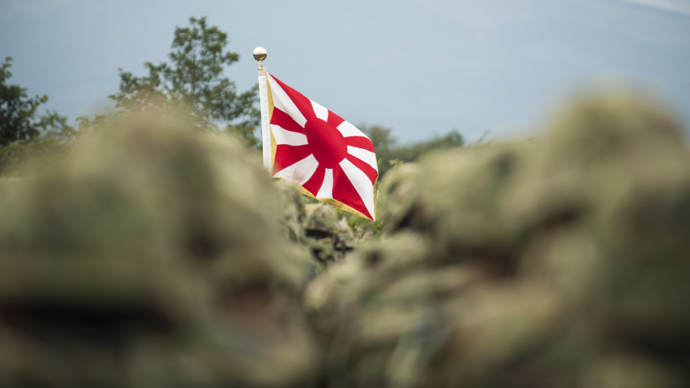 JSDF flag