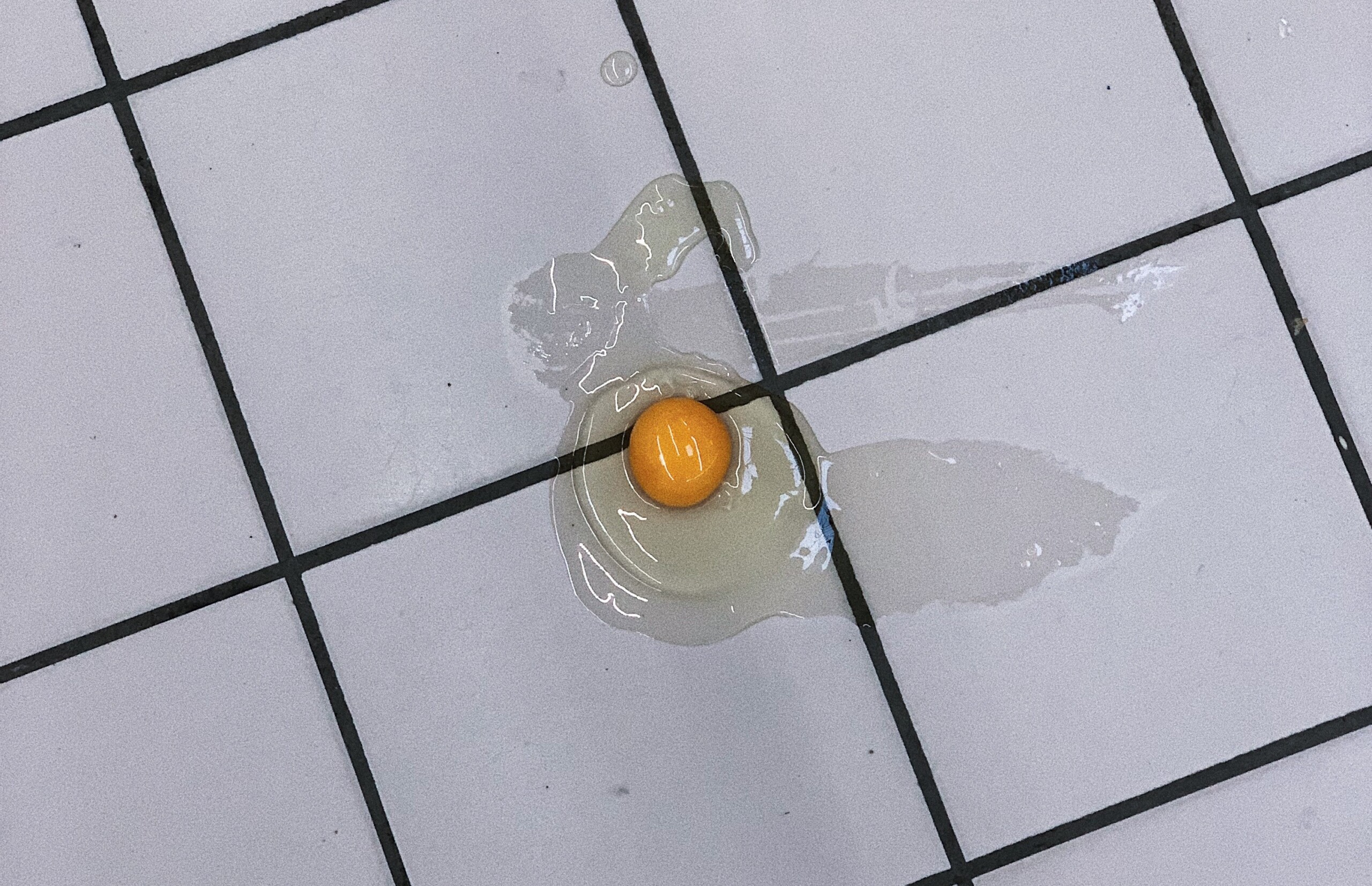 Cooking For Combat Readiness: A Guide to Basic Cooking Techniques for Military Enthusiasts and Veterans