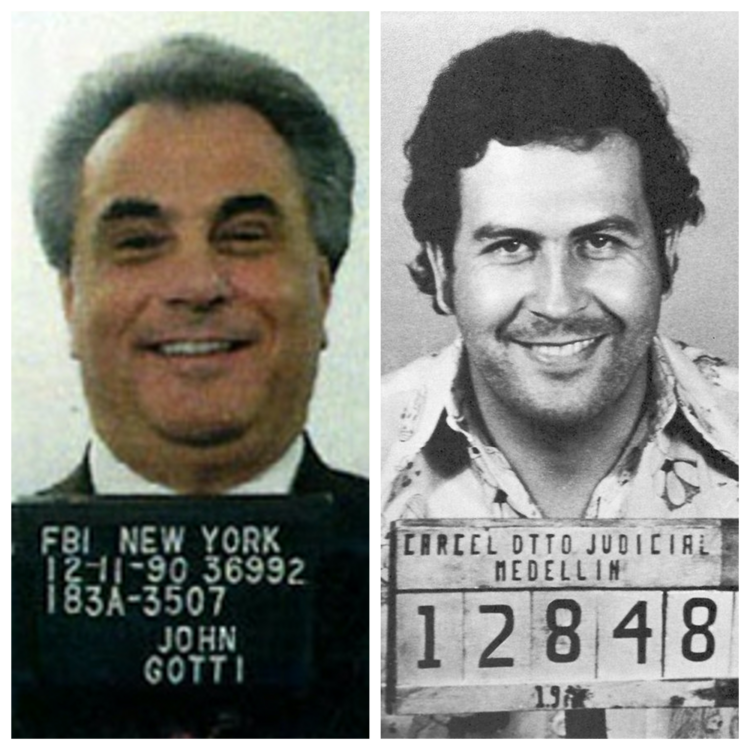 From Sicily to Sinaloa: Contrasting the Mafia and Drug Cartels