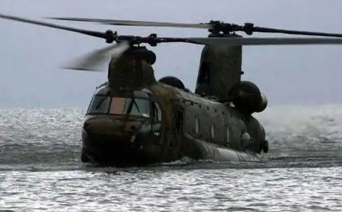 Chinook in a River