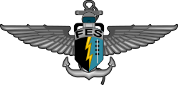 FES insignia