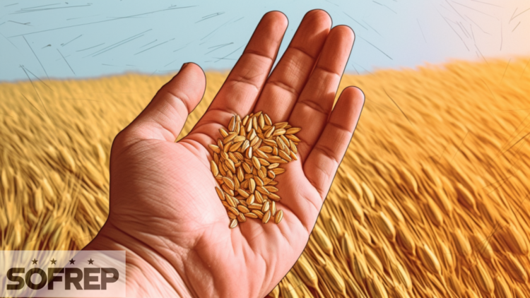 Ukraine-Poland Grain Dispute Threatens Bilateral Relations and EU Trade