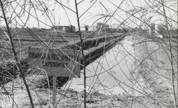 The Darkest Side of War: Examining the Abu Ghraib Human Rights Violations