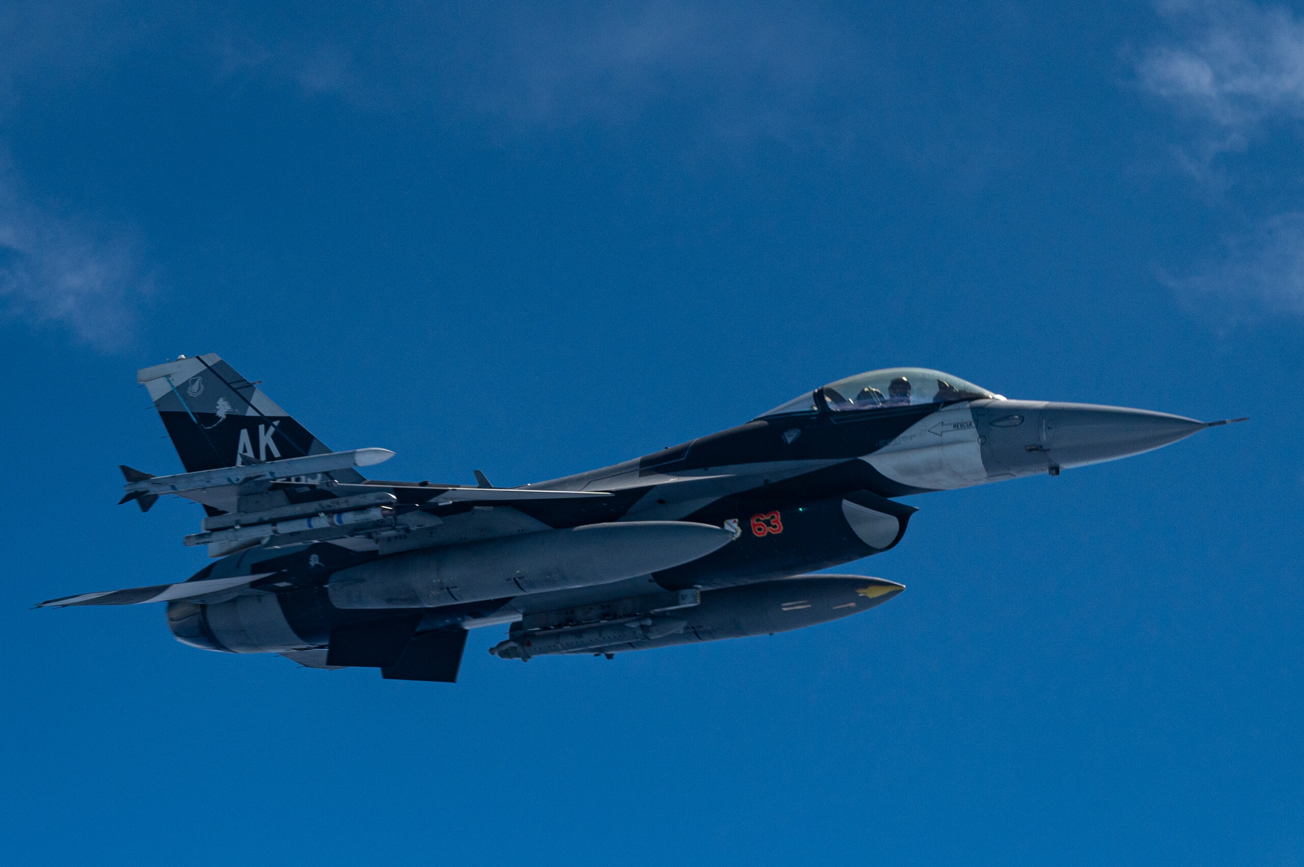 F-16 Fighting Falcon