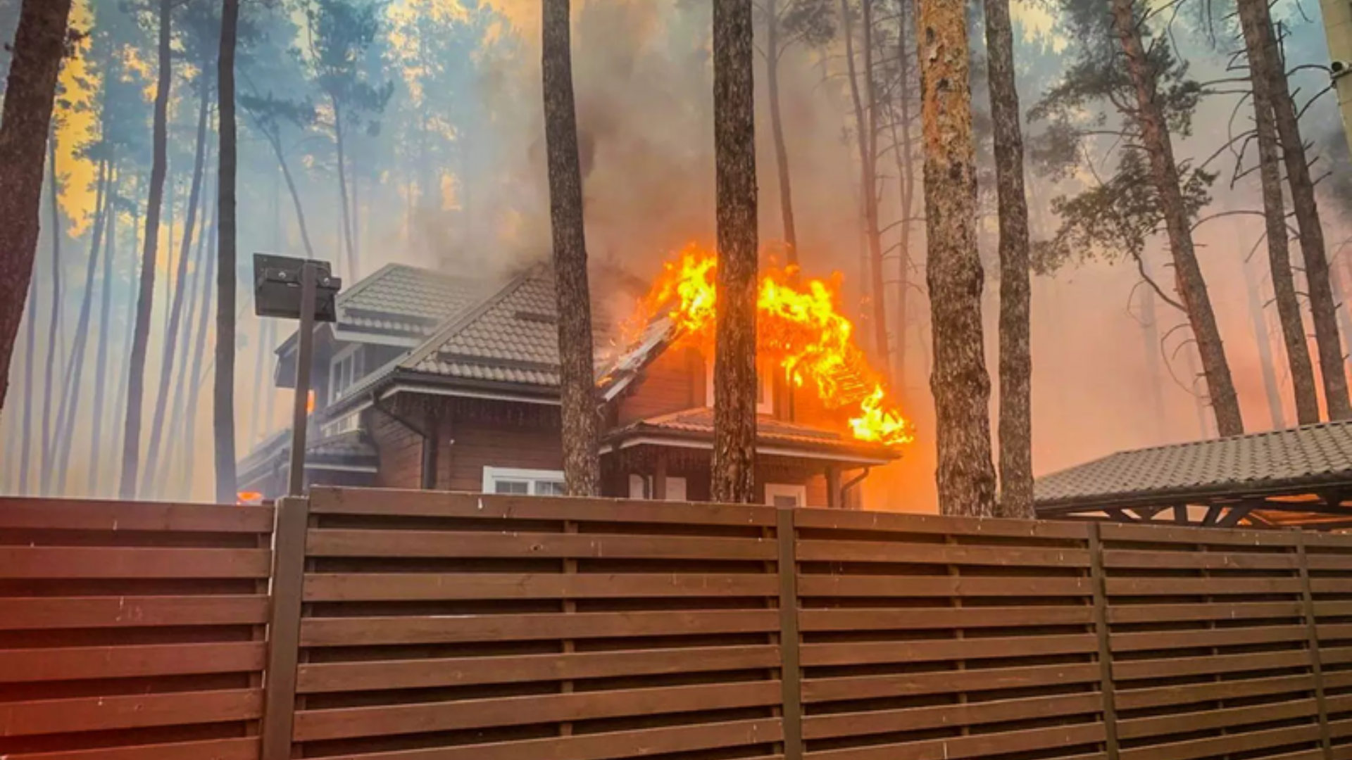 Forest fire in Kharkiv
