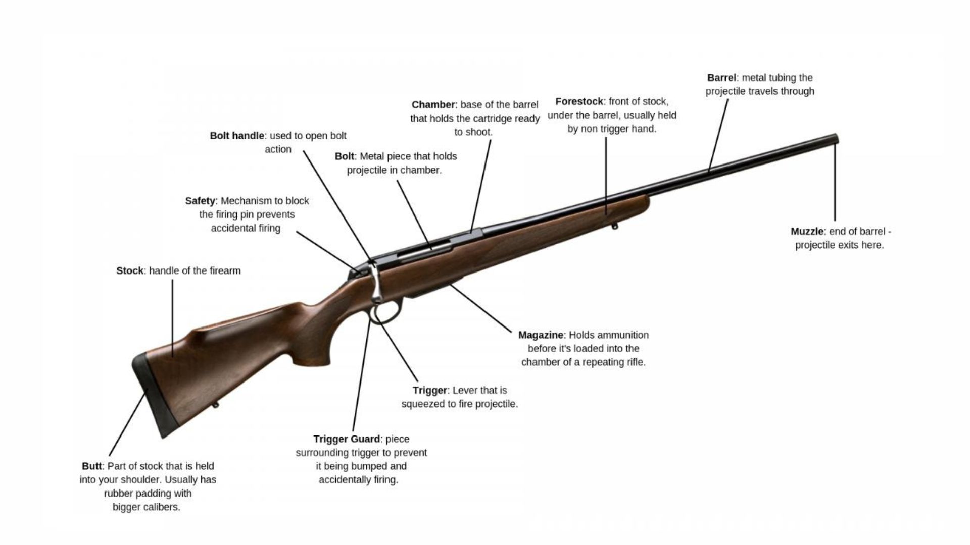 Bolt Action Rifle 4