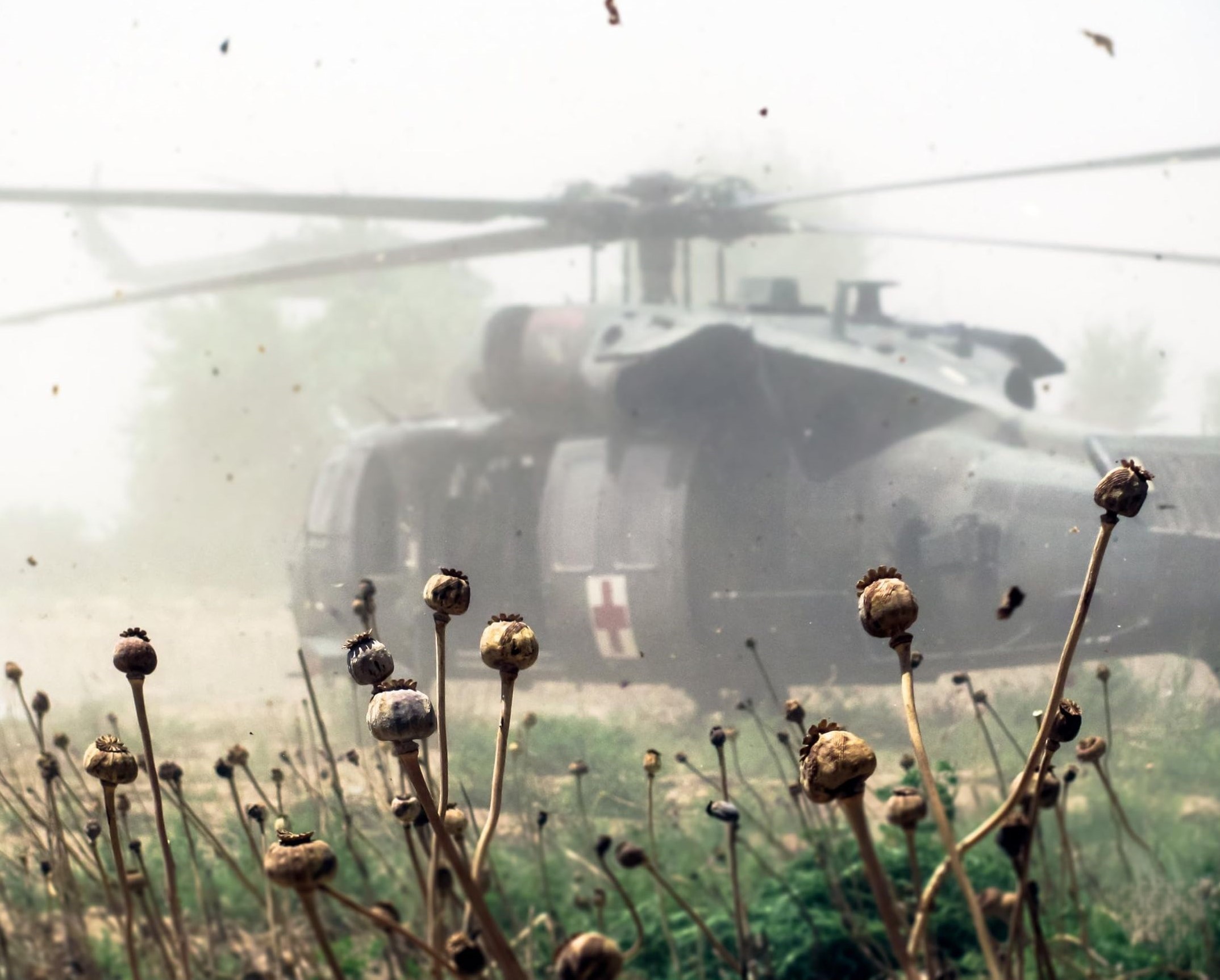 Dustoff in poppies Afghanistan