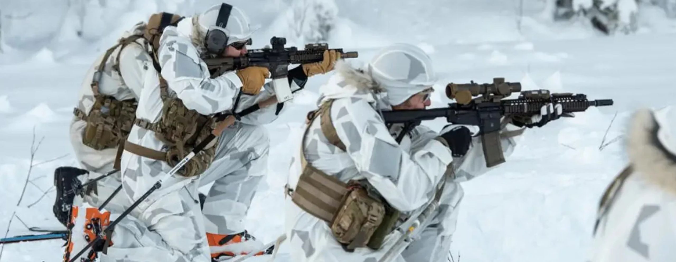 Swedish Parachute Rangers