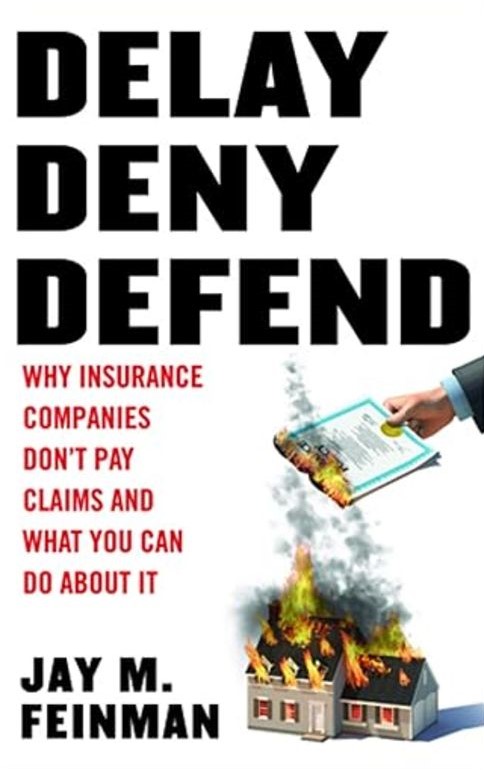 Delay, deny, defend book 