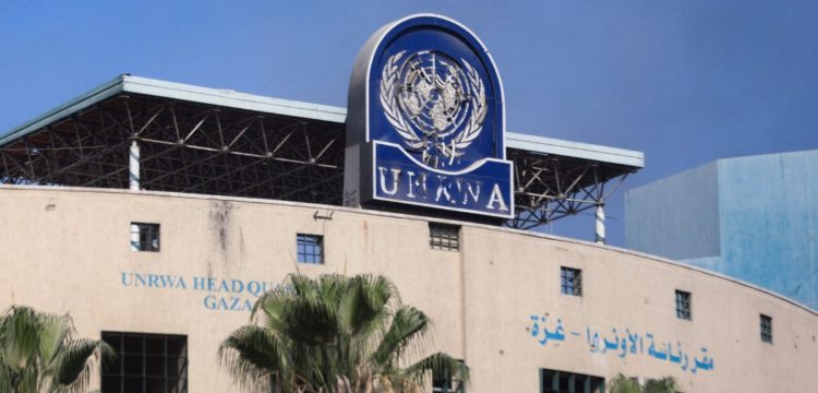 Looting Forces UN to Cease Aid Deliveries in War-Torn Gaza