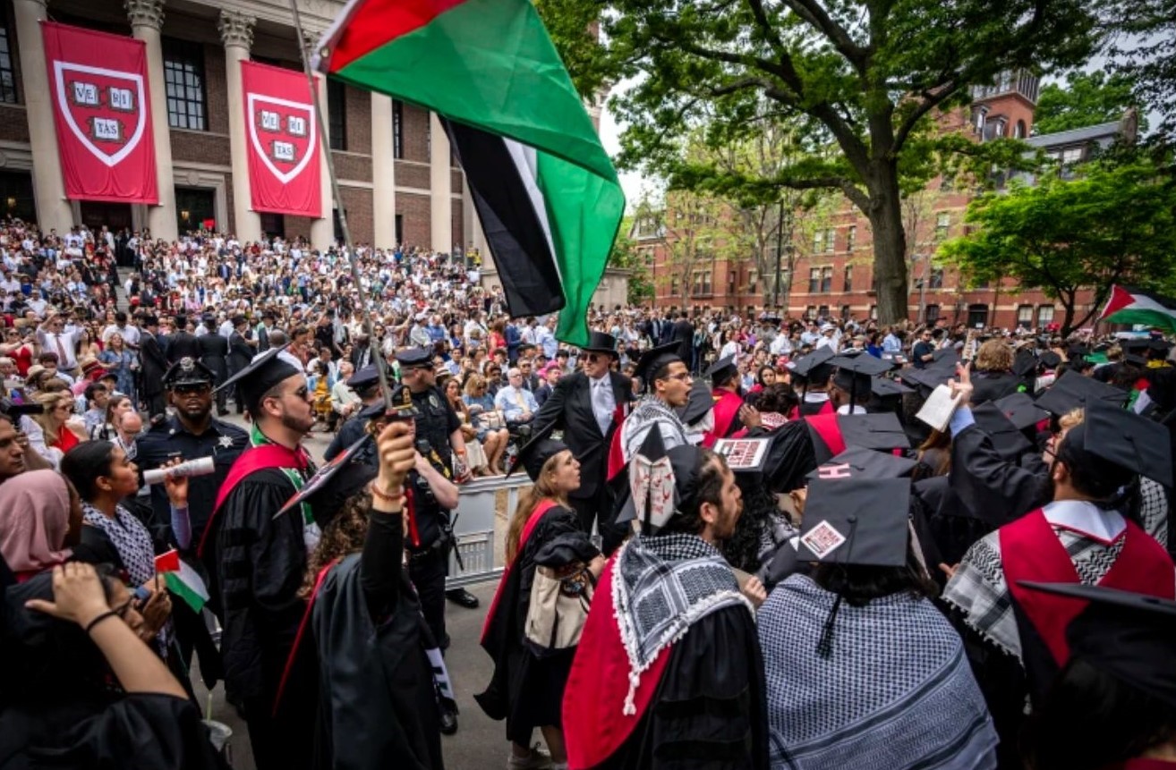 NBC News Harvard