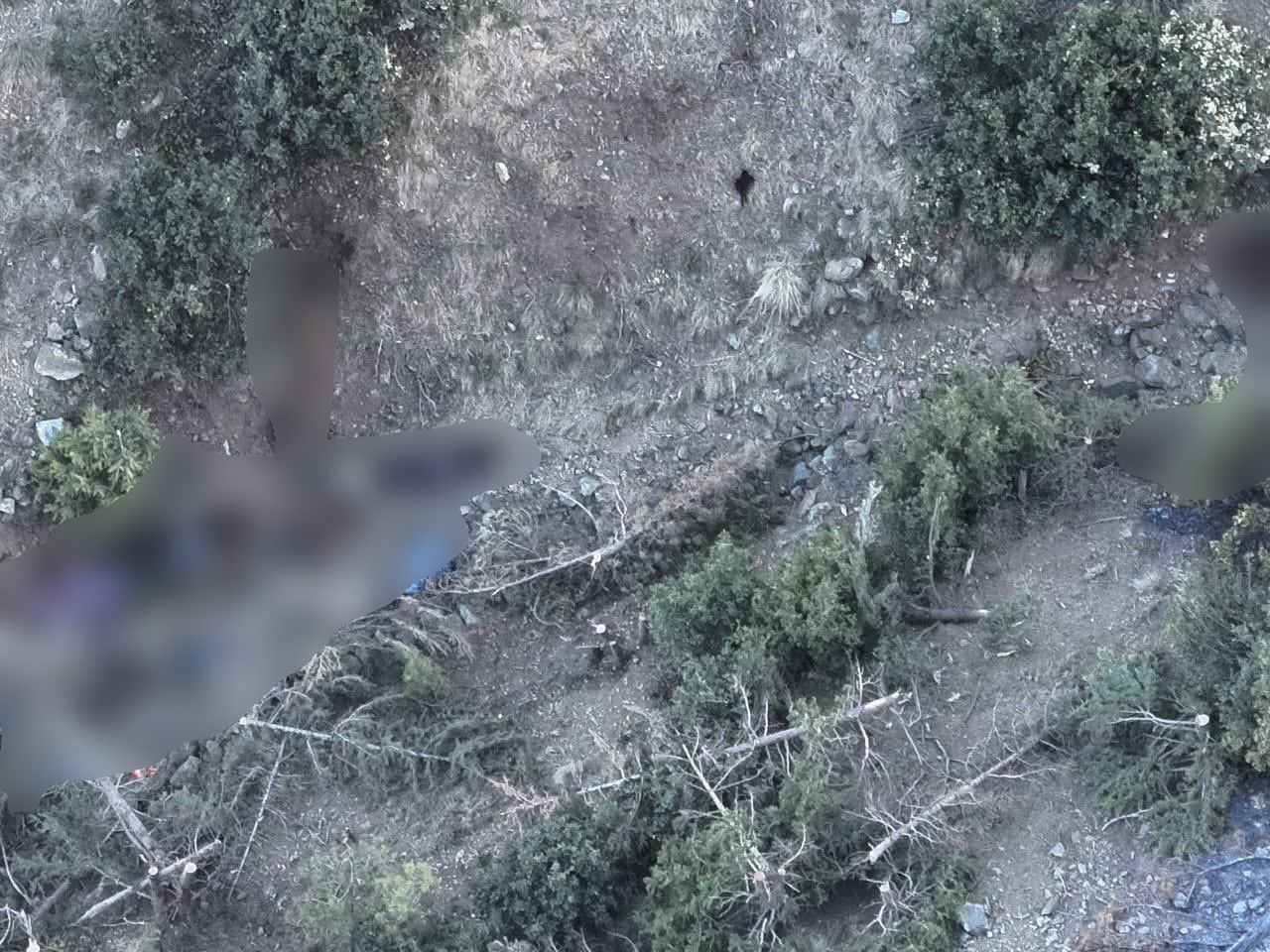 militants-infiltrate-in-pakistan