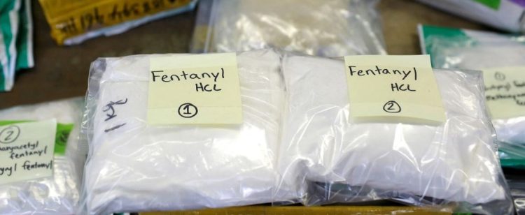 Evening Brief: Fentanyl Seizures Down Dramatically, White House Staffer’s Phone Breached, Falcon 9 Launch