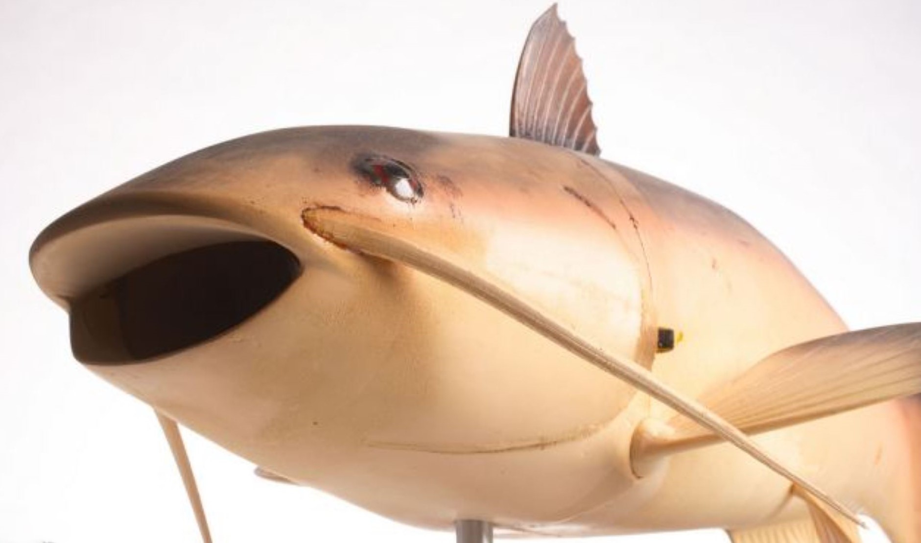 CIA Spy and Tradecraft Tools (Declassified)