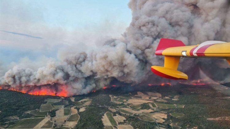 Morning Brief: Trump May Meet Putin Soon in Push to End Russia-Ukraine War, France Battles Worst Wildfire in Nearly 80 Years