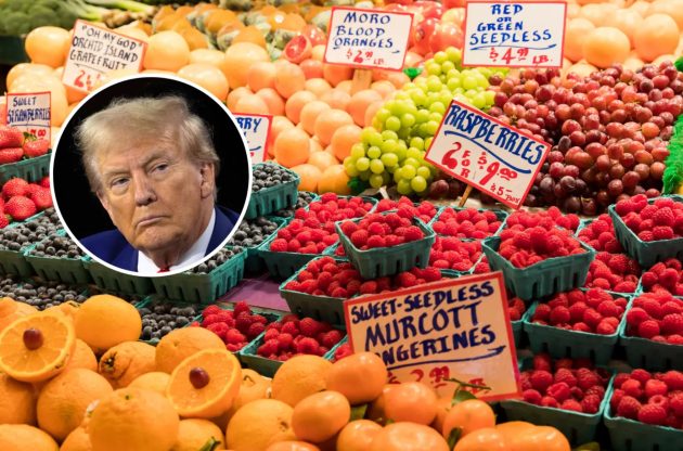 Morning Brief: Trump Drops Tariffs on Some Foods, Man Executed by Firing Squad in South Carolina, Belgium Halts Ukrainian Lifeline