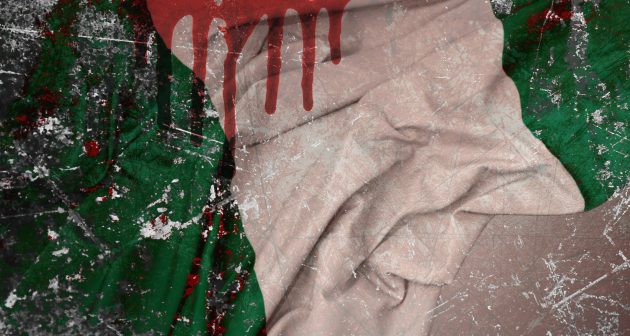 SOFREP Cartoon: See No Evil in Nigeria