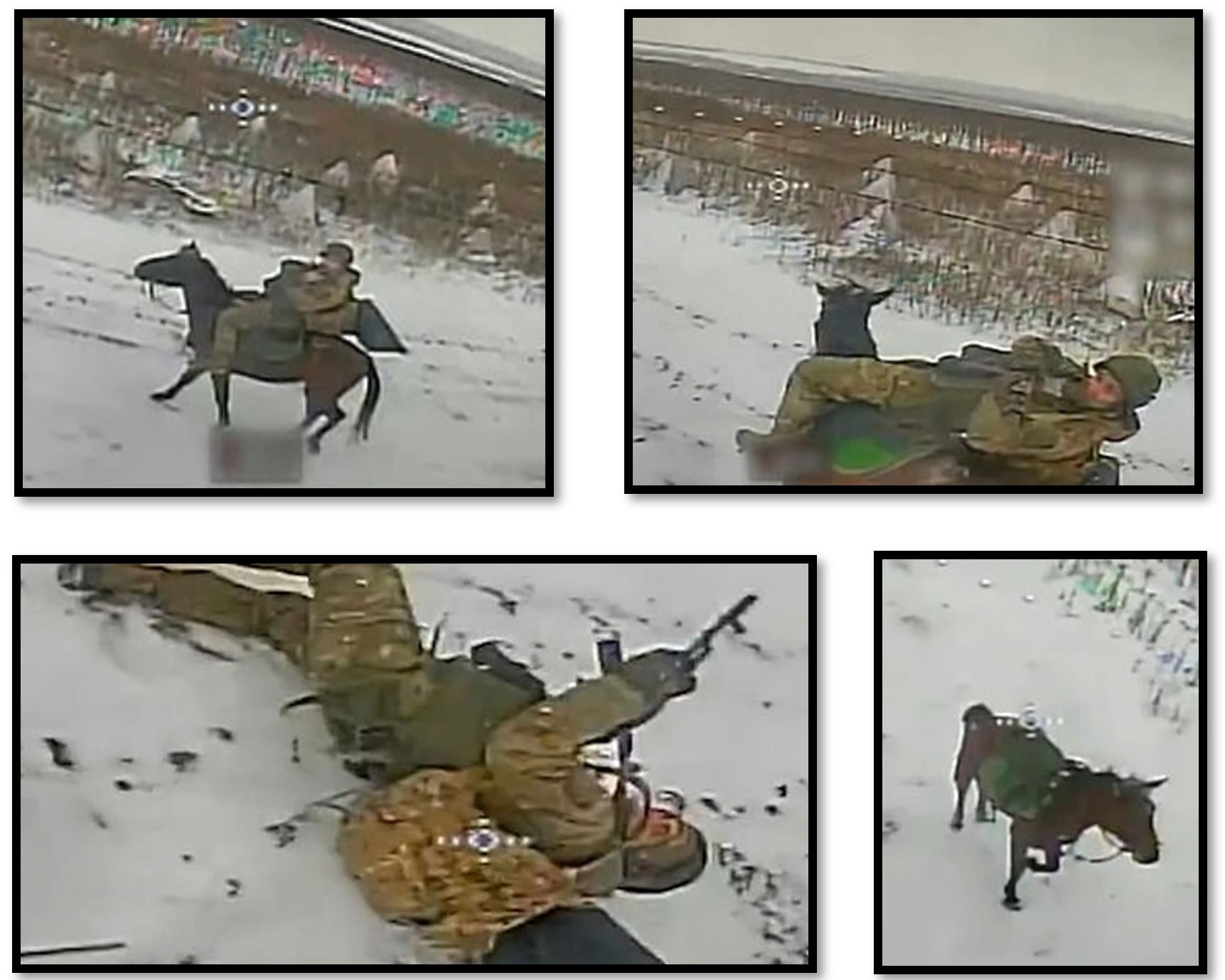 Ukrainian drone attack on Russian horse cavalry soldier.