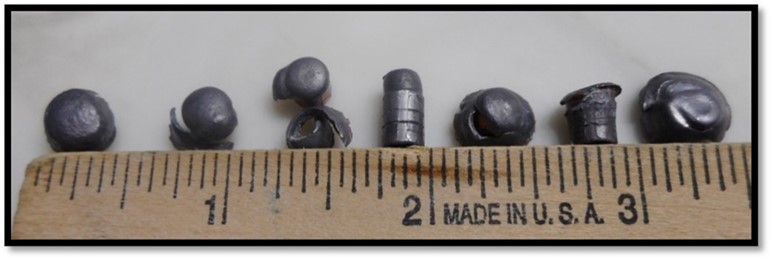 .22 Long Rifle Bullets