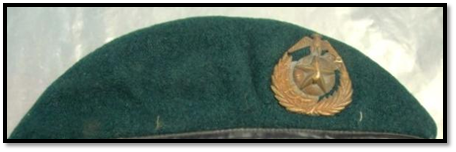 South of Vietnamese Green Beret