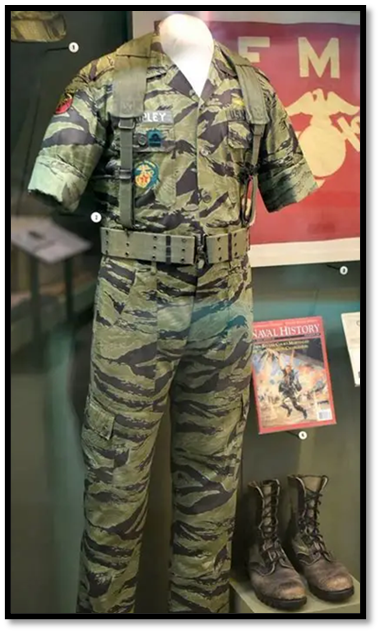 Tiger stripe uniform